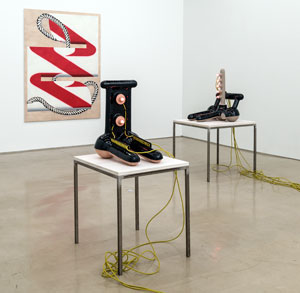 installation view of Zachary Leener and Anne Neukamp (Lisa Cooley gallery, 2015)